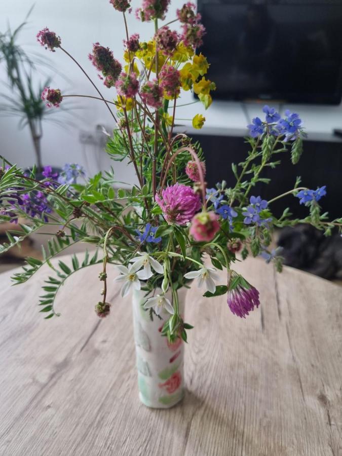 Apartman Nana Divčibare Buitenkant foto