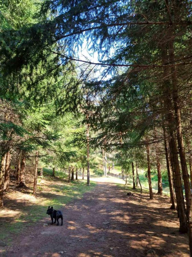 Apartman Nana Divčibare Buitenkant foto